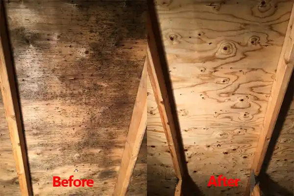 water damage restoration service Peña Blanca